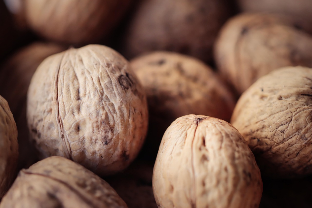 DDOS网页端|爱库优选代理平台