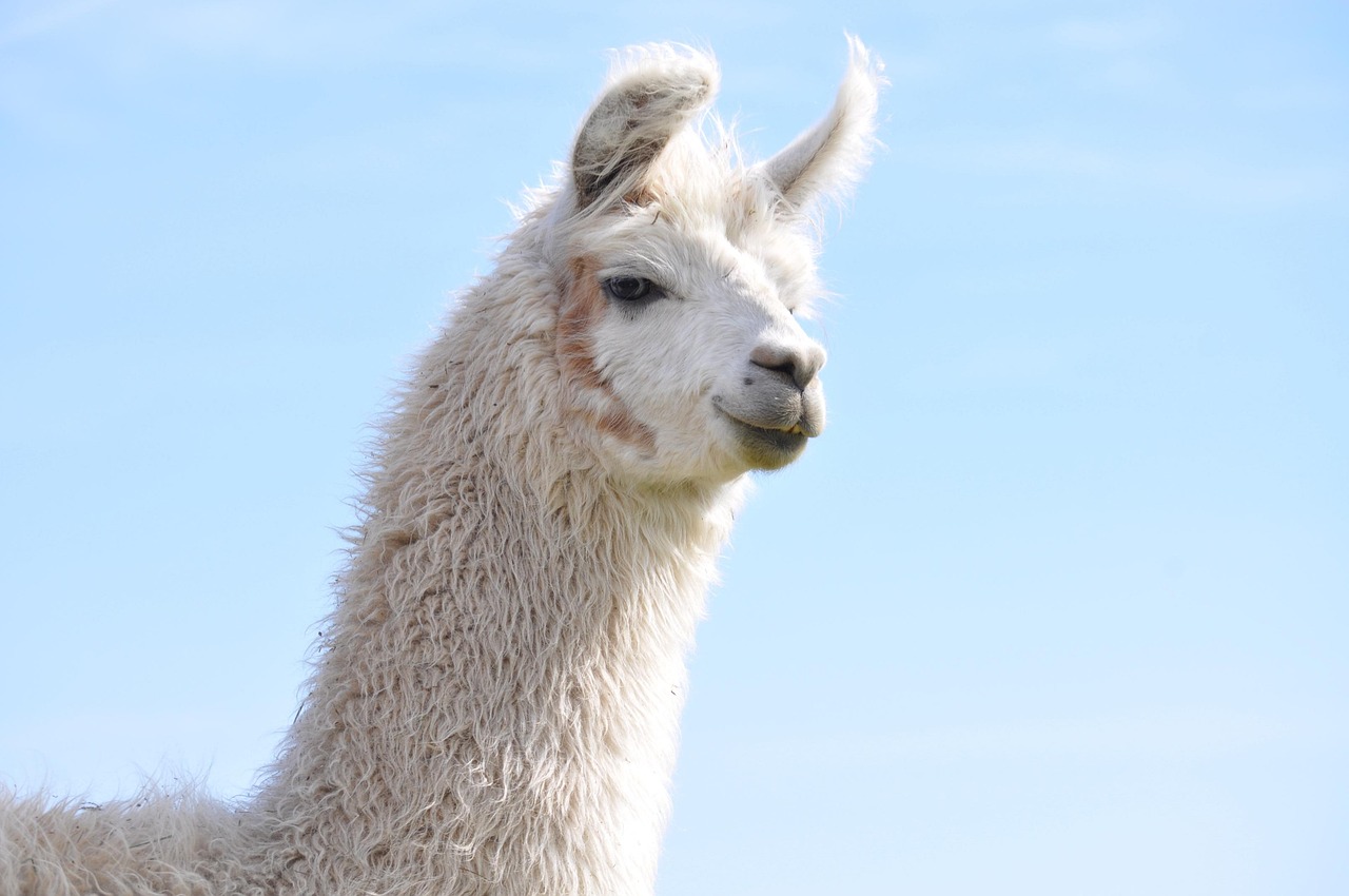 网站实名账号：货运代理优选平台