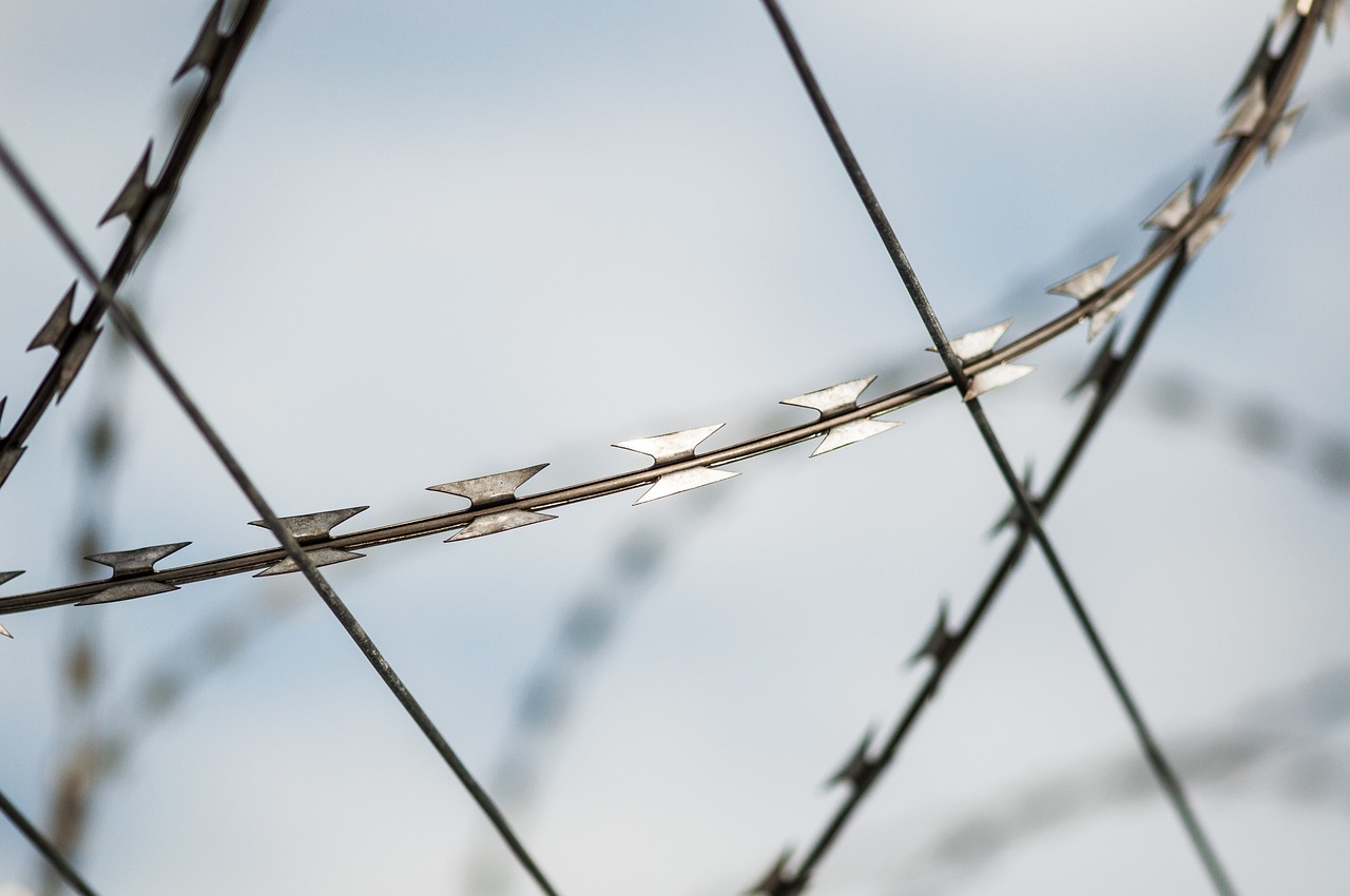 微信出售：广饶宠物购买平台