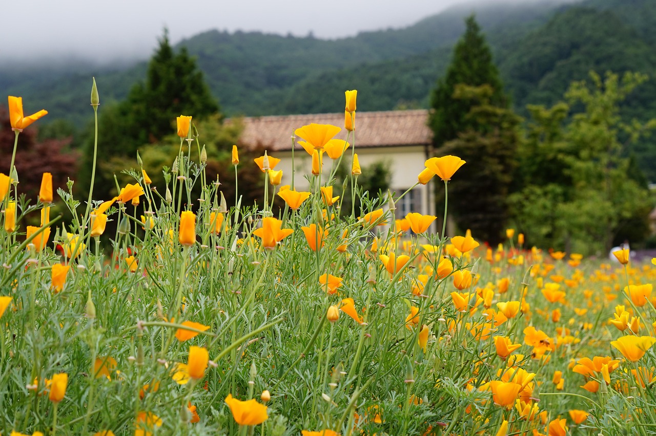 吸烟者的口臭问题