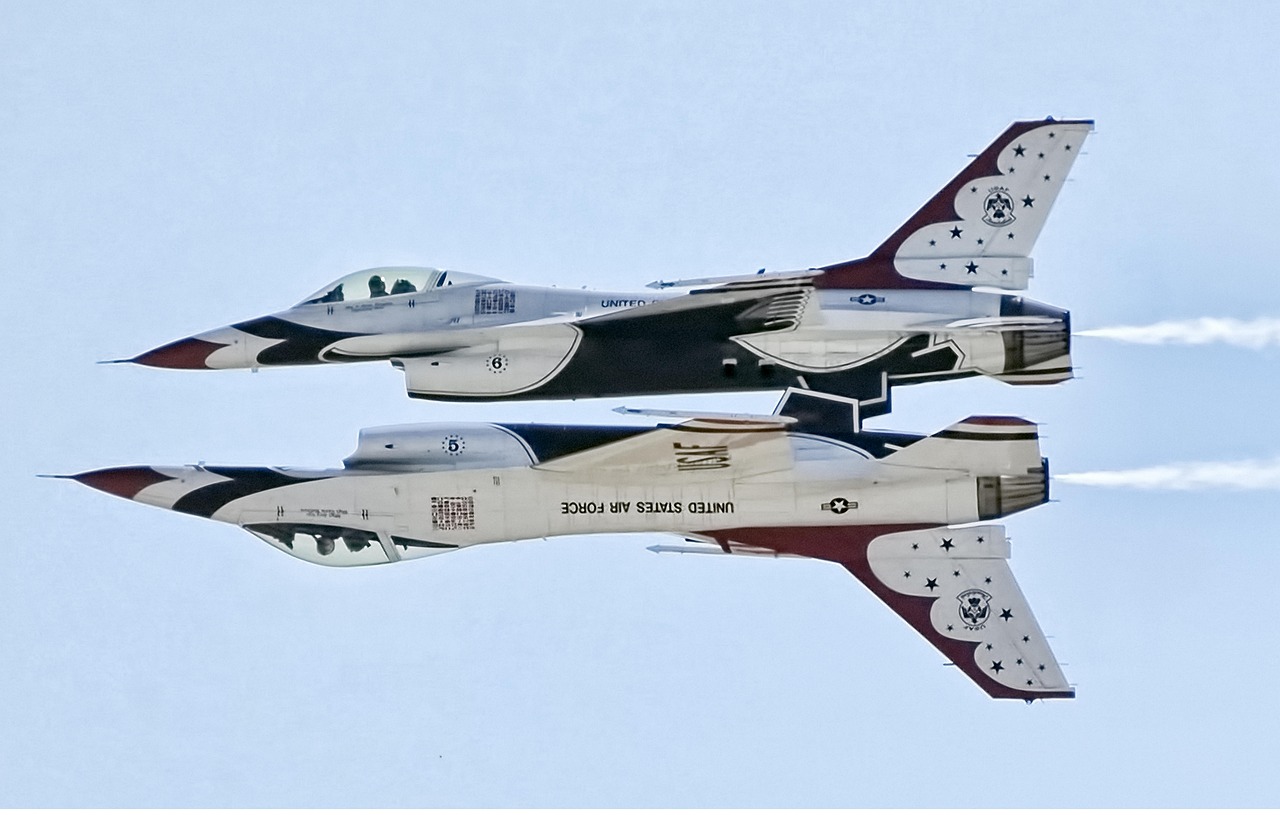 世界范围内抗击技术支持软件的行动