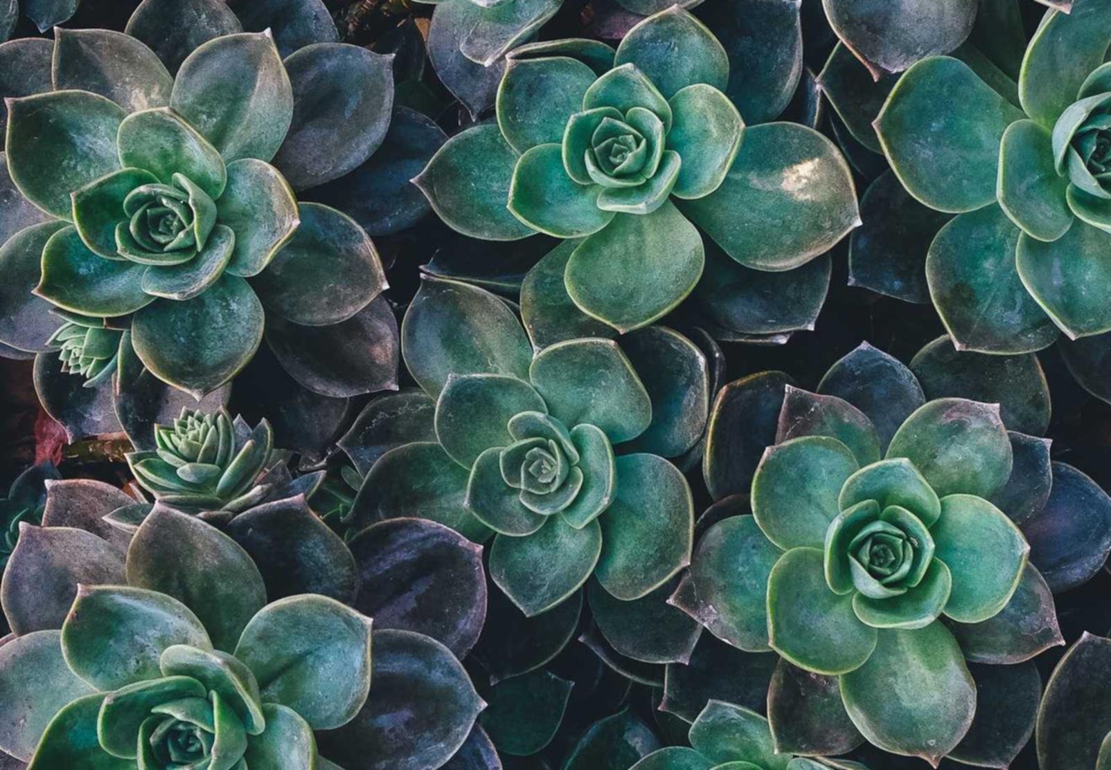 微信买号网站：外汇开户去哪个平台好